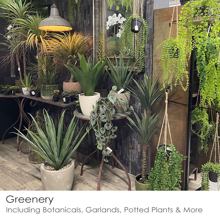 Showroom Image 4